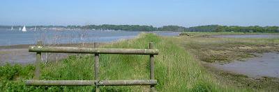 The Orwell Run banner