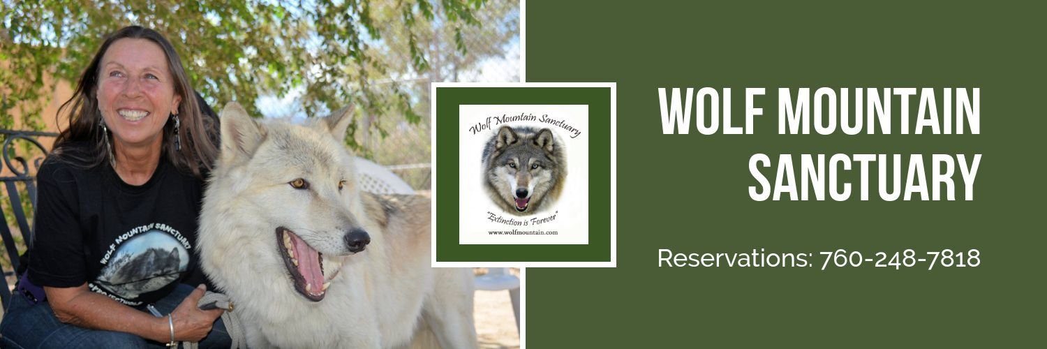 WolfMtnSanct's profile banner image