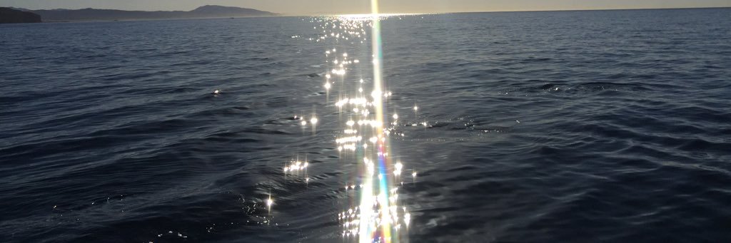 peprgf's profile banner image