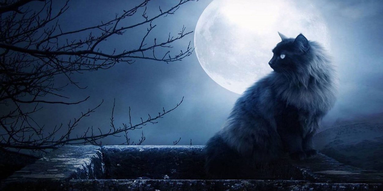 Дарья Филистович banner