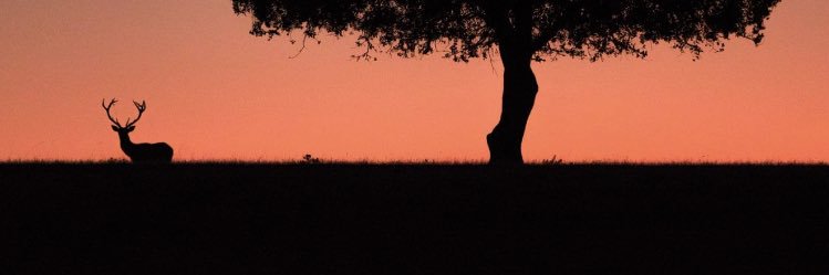watakone's profile banner image