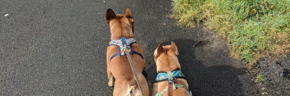 theactualwatson's profile banner image