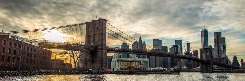 flor_1502's profile banner image
