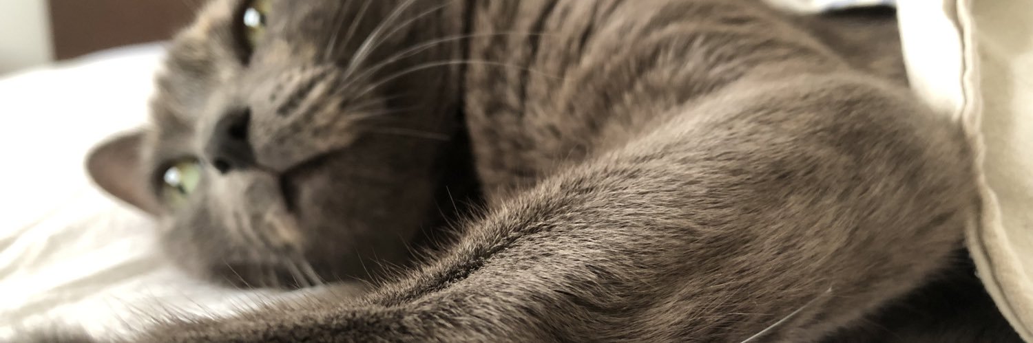 ardclemos's profile banner image