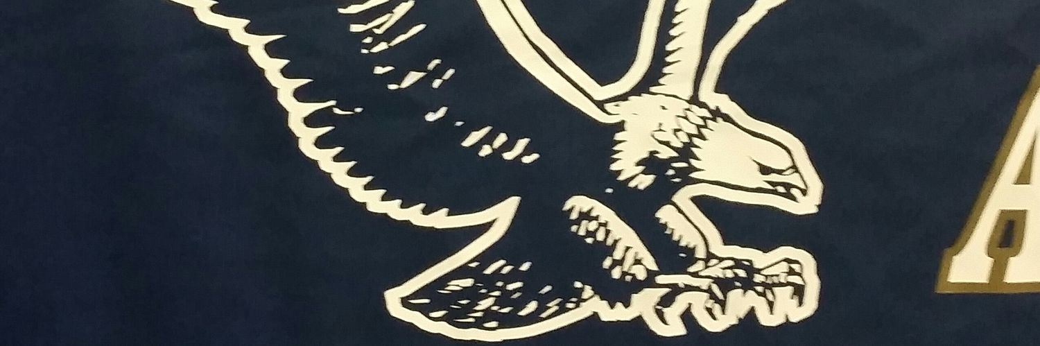 Ana Hernandez banner