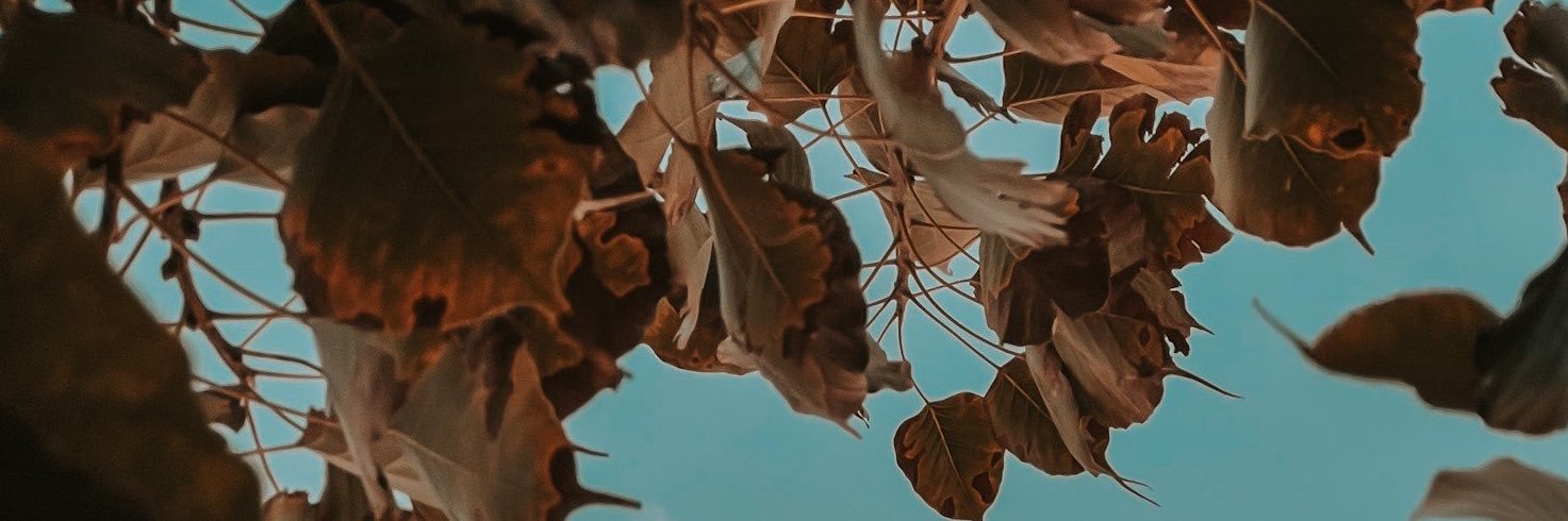 lbader101's profile banner image