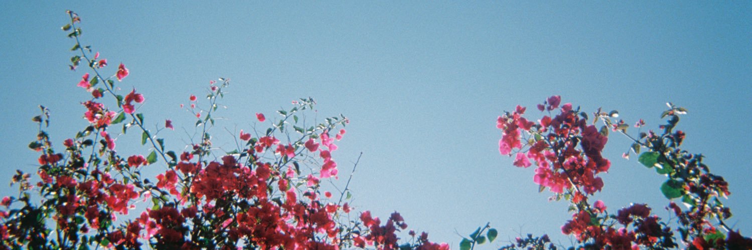 almightygallery's profile banner image