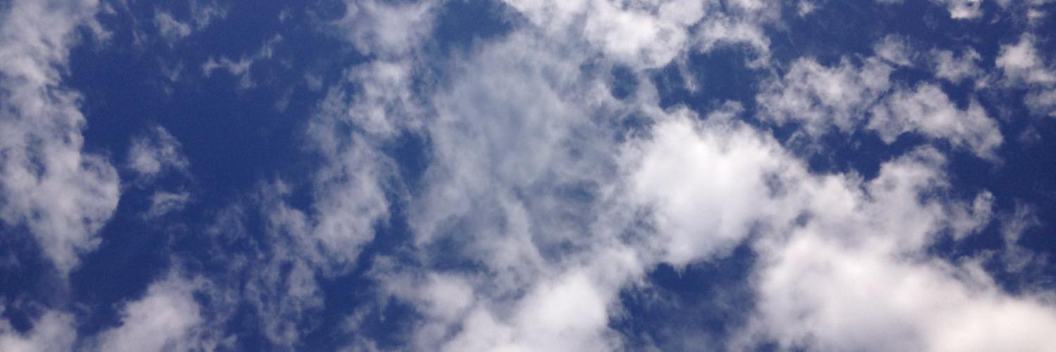 Courtney Desh Shaked banner