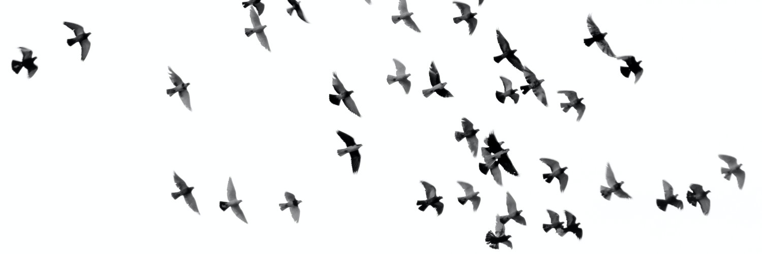 JenniferLauck's profile banner image