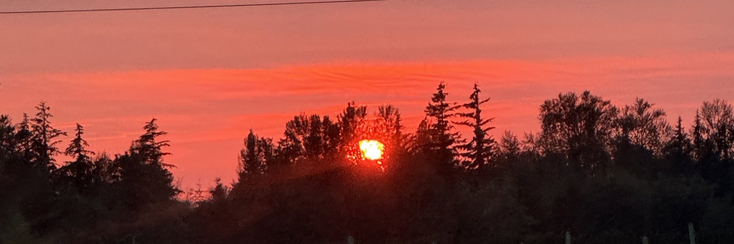 erineliza84's profile banner image