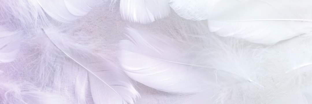 kavause's profile banner image