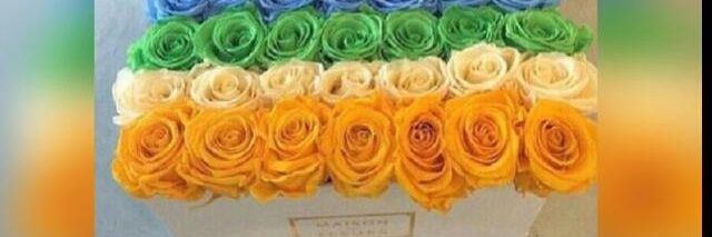 hamida15741's profile banner image