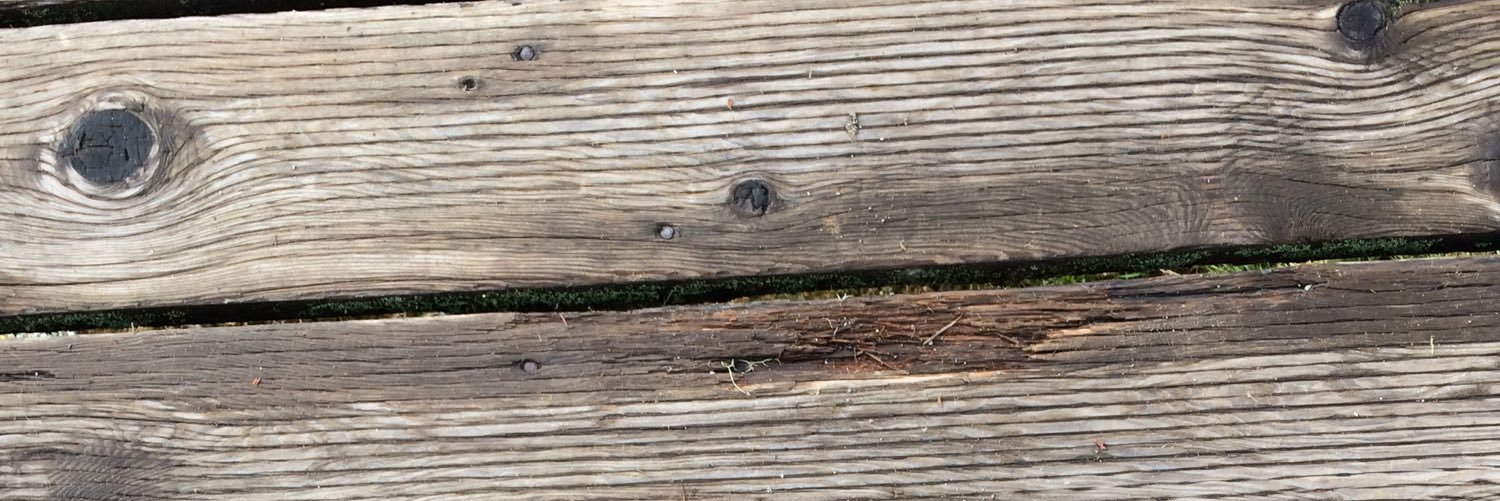 KaylaLSwallow's profile banner image