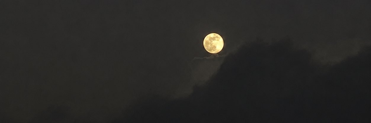 julesdoe333's profile banner image