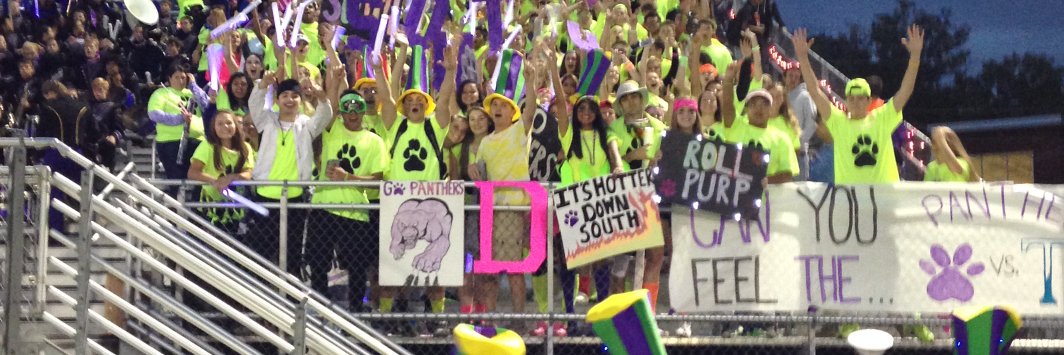 NHSS Panthers banner