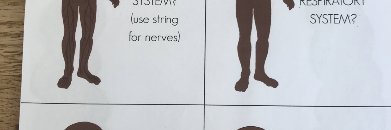 Julia Millman banner