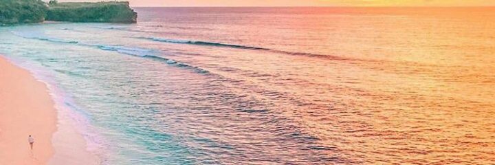 20tuncyurek's profile banner image