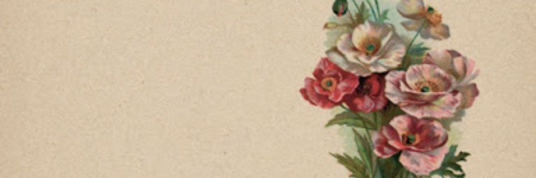 DrugTinna's profile banner image