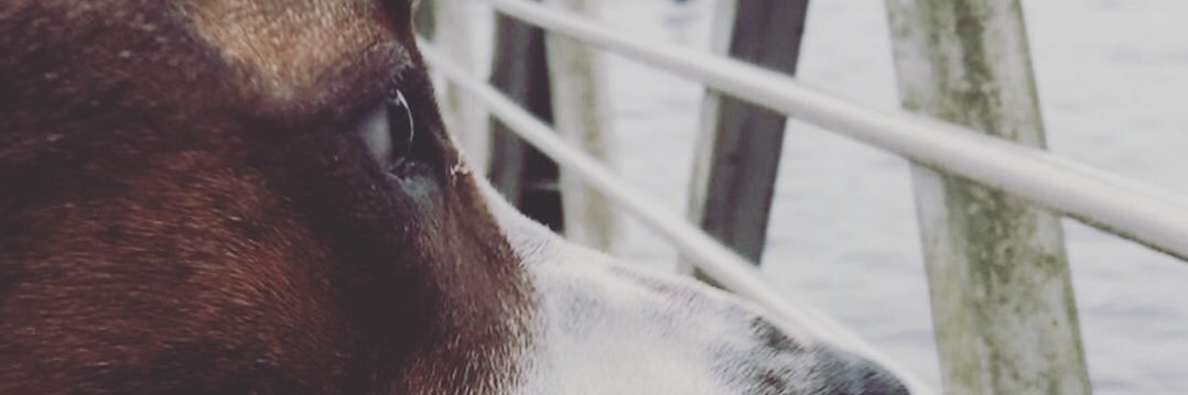 VanBrocklin25's profile banner image