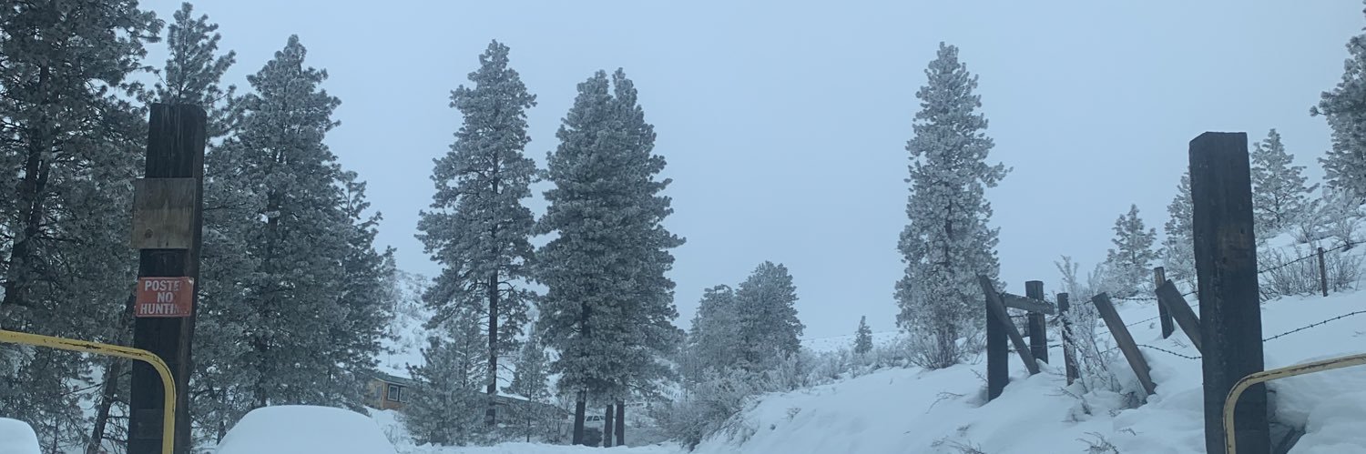 elizabethhapp4's profile banner image