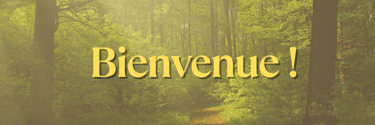 Woufeuse's profile banner image