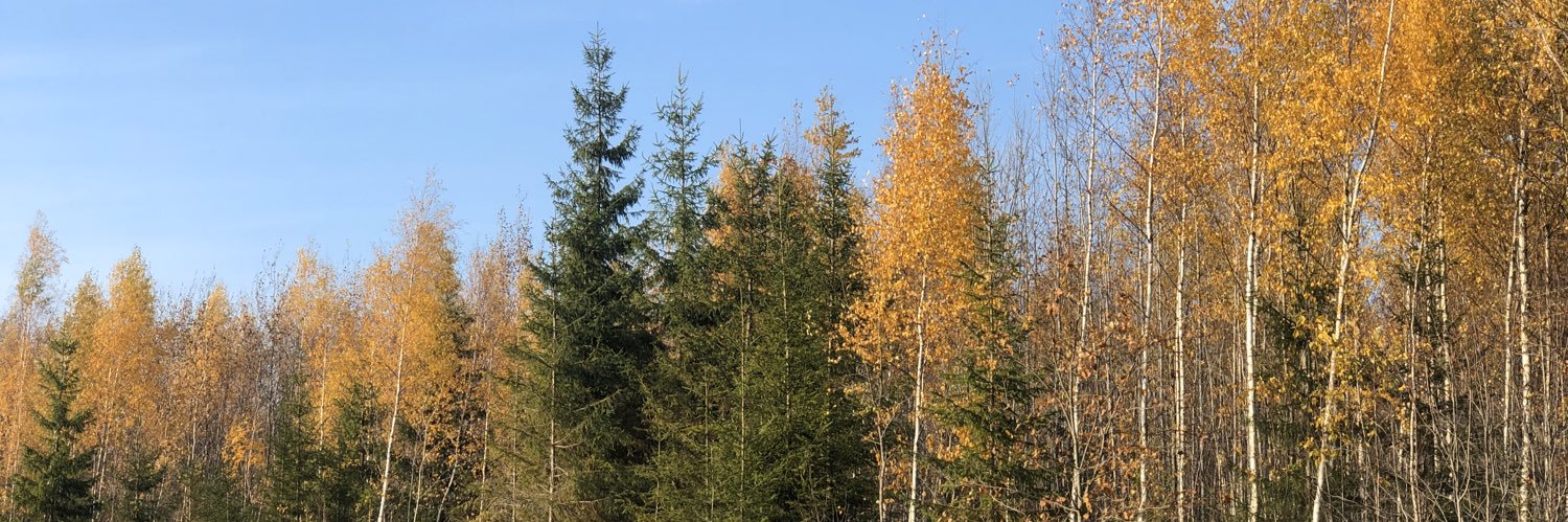 aivalaukos's profile banner image