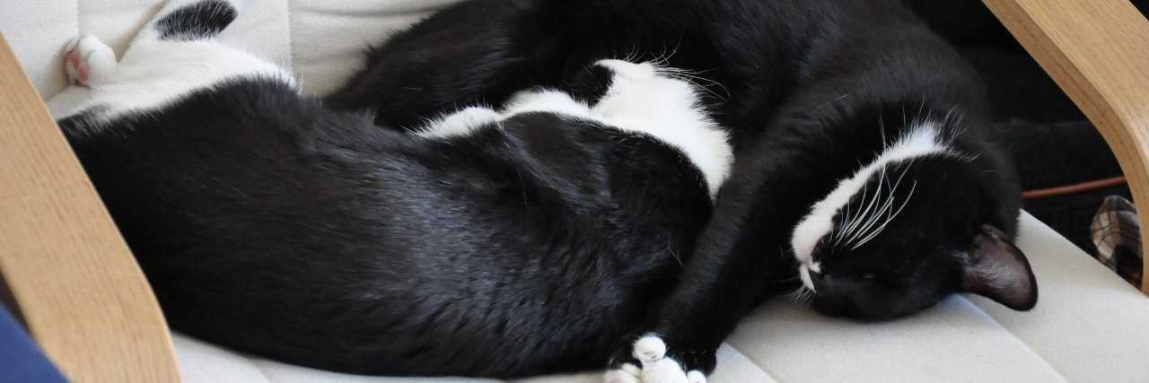 Jan 🤓😸😸😸😸 banner