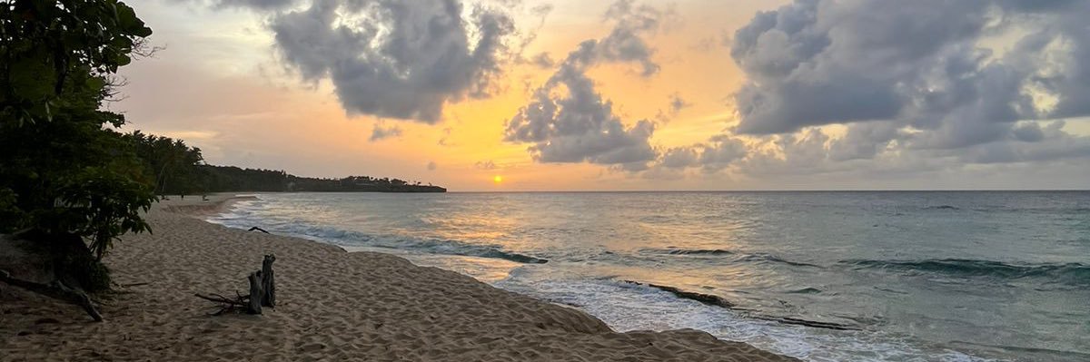 Carlos de la Cruz banner