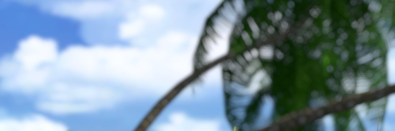moka_fee's profile banner image