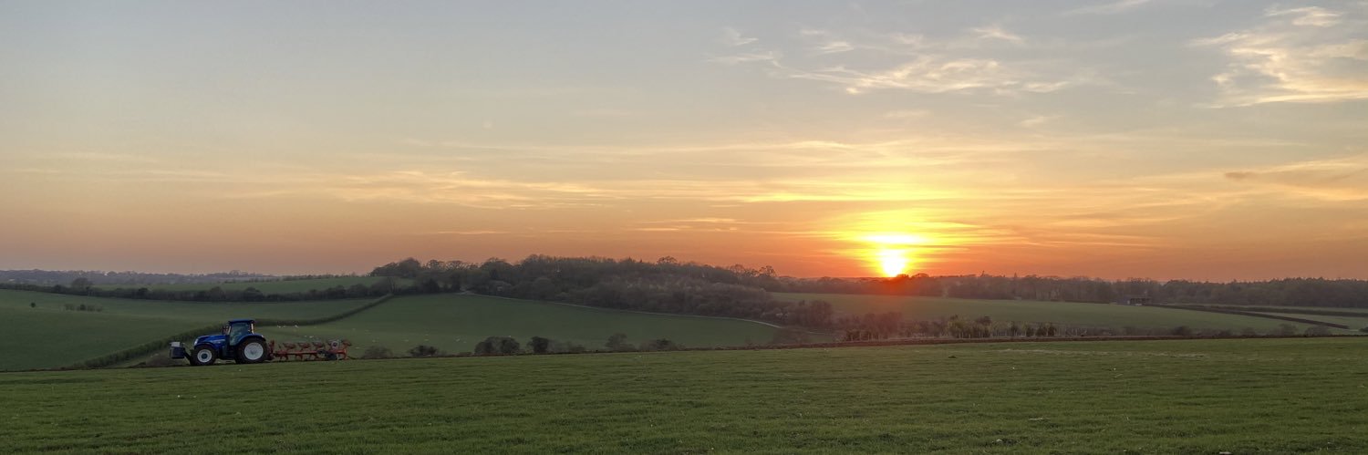 AlexMarieMunday's profile banner image