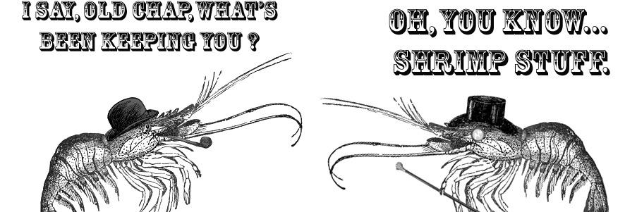 euroshrimp's profile banner image
