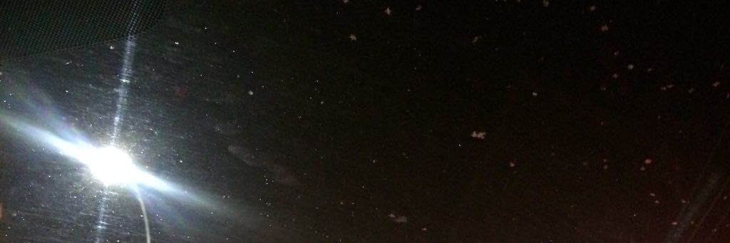 gaIIaghertrades's profile banner image