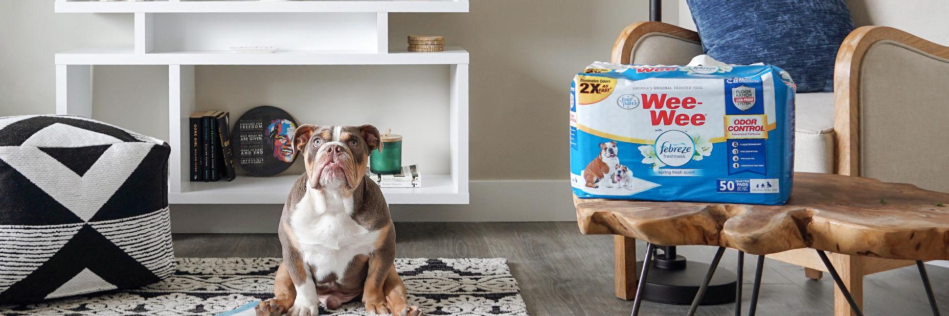 FourPawsBrand's profile banner image