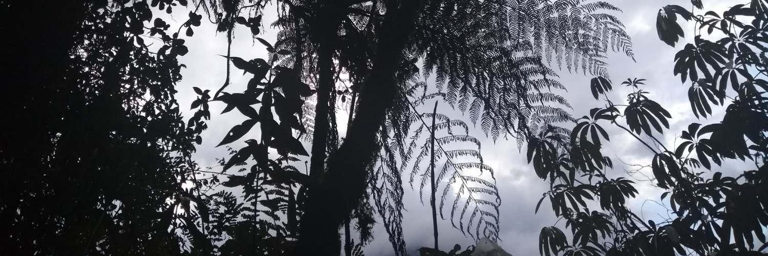 ai_aut's profile banner image