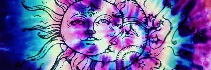 LizBkrLib4lyf's profile banner image
