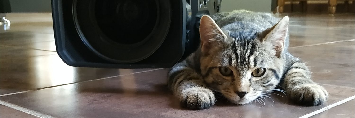 LouisClaveau's profile banner image