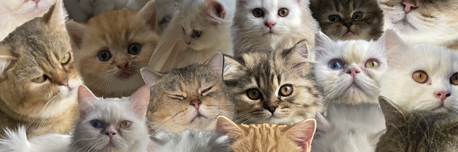 olinrabrina's profile banner image