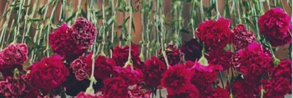 alawler89's profile banner image