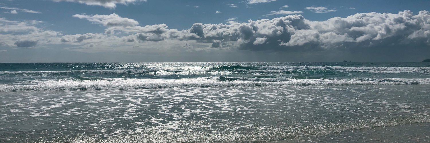 palomariso's profile banner image