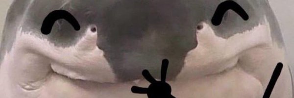 querocoxinhas Profile Banner