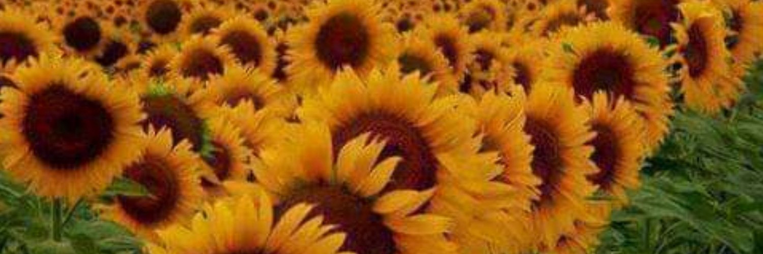 LeonAdryana's profile banner image