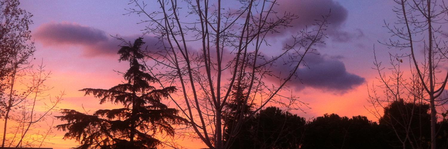 LauraMonteagudo's profile banner image