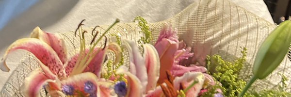 docedengosa Profile Banner