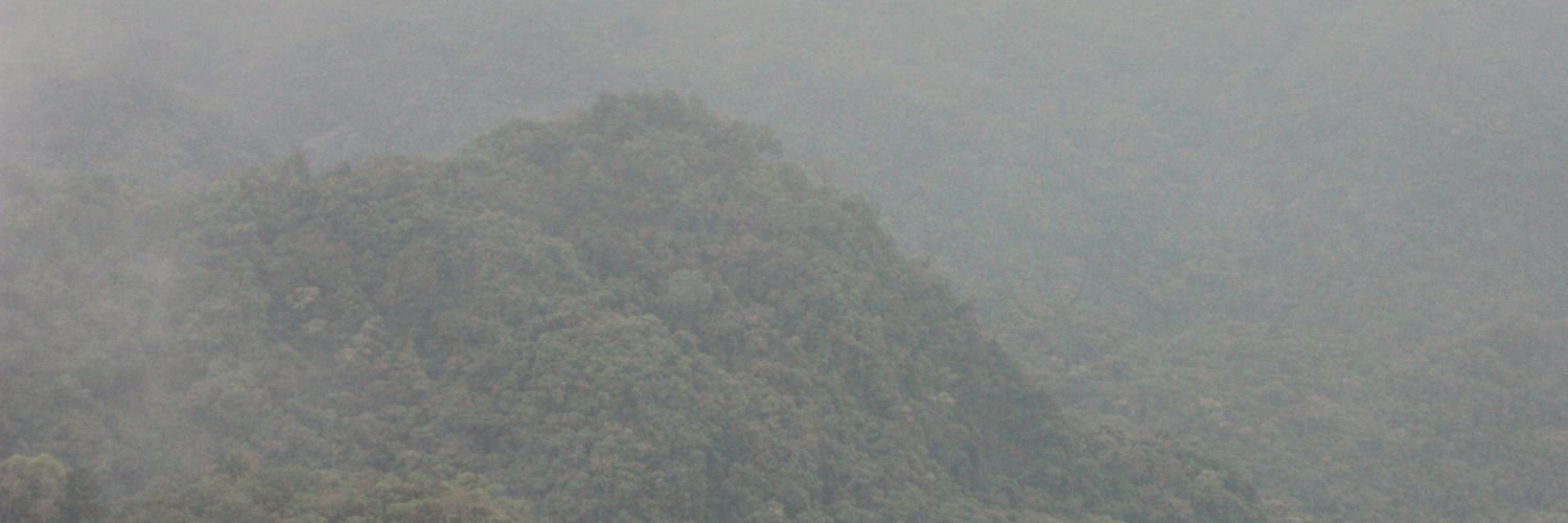 mazorcamorena's profile banner image