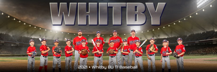 Whitby 10U AAA Baseball banner