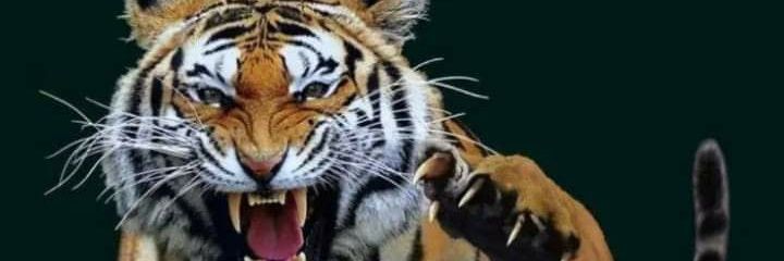 Rajendra Shinde banner