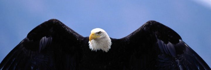 glkose's profile banner image