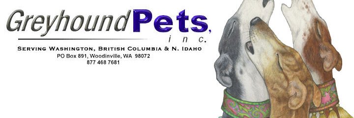 Greyhound Pets, Inc. 💙 banner