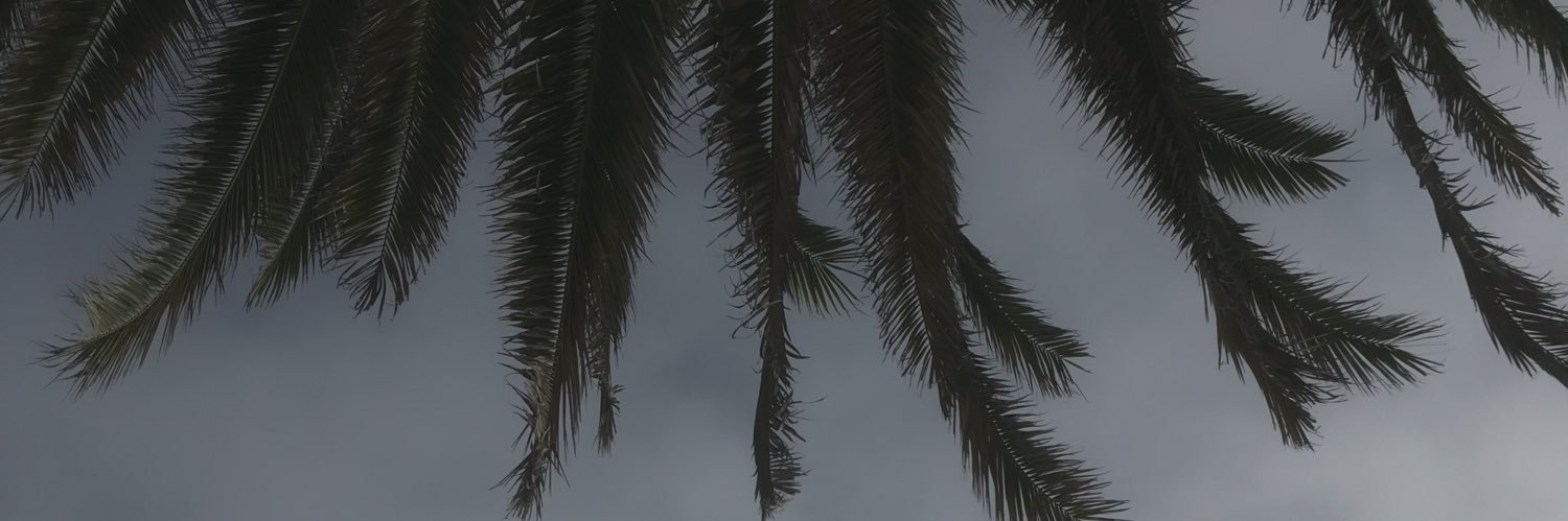 RyanMGM's profile banner image