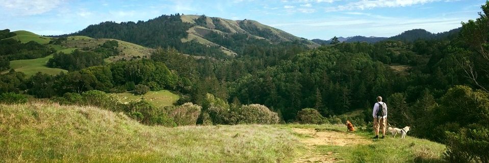 m_Grager's profile banner image